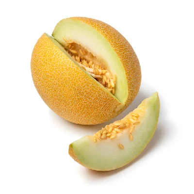 Galia Melon