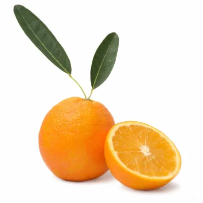 Lane Late Navel Orange